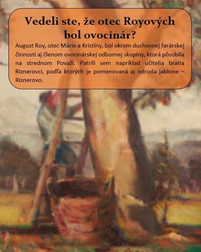 AUGUST ROY A RIZNEROVE JABLKO